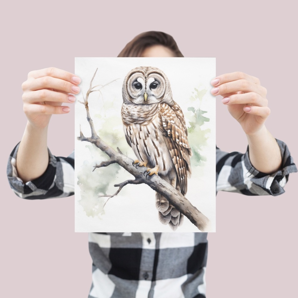 Watercolor Barred Owl Portrait Wall Art Illustration Print Poster Unframed - Picture 5 of 7